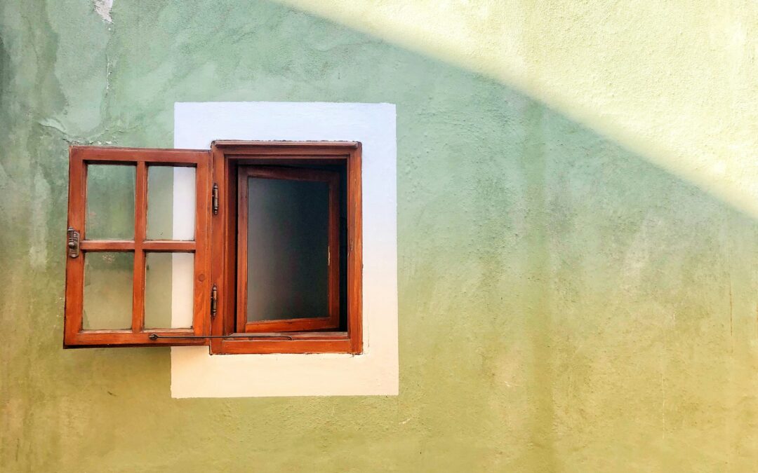 De window of tolerance, de kunst om binnen je ‘raampje’ te blijven